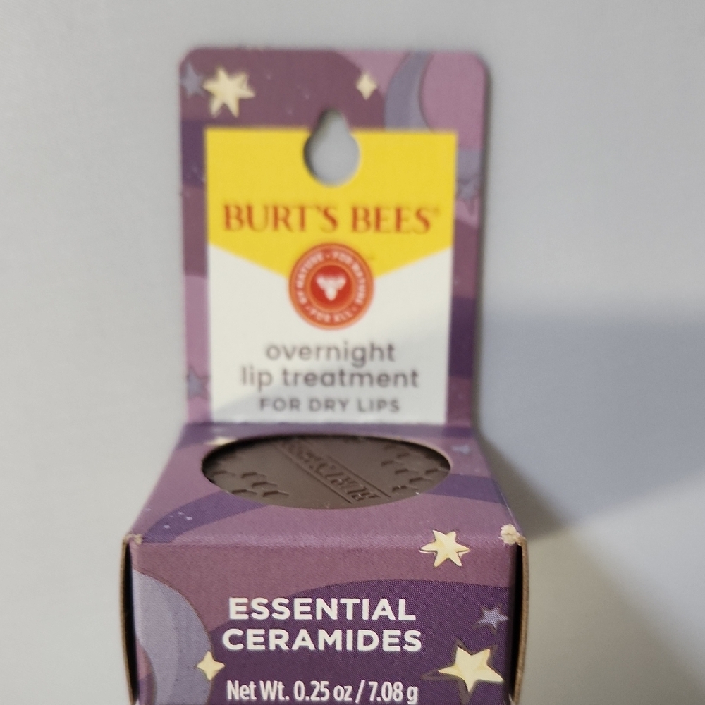 Burt's Bees Overnight Lip Treatment Lip Mask